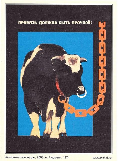 Image (70)