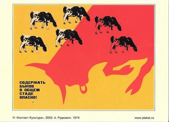 Image (72)