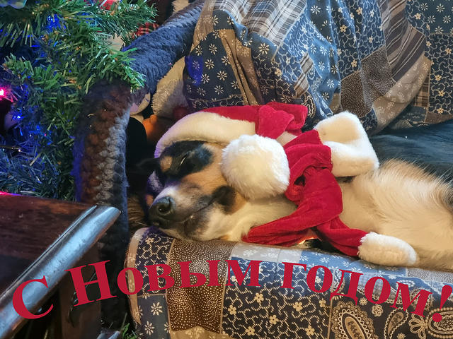 bella2021