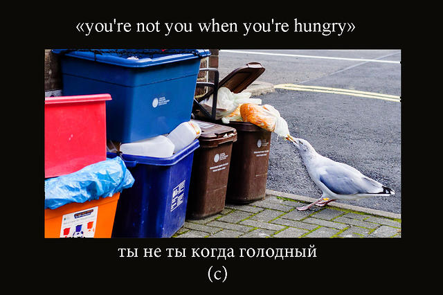 hungry