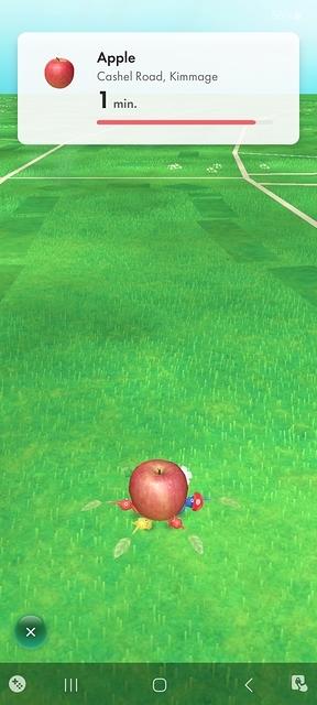 Screenshot 20230427 081451 Pikmin Bloom