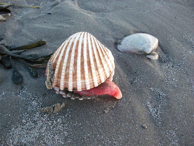 DSCF0155