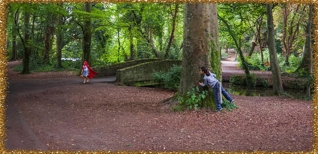 Untitled Panorama4-1