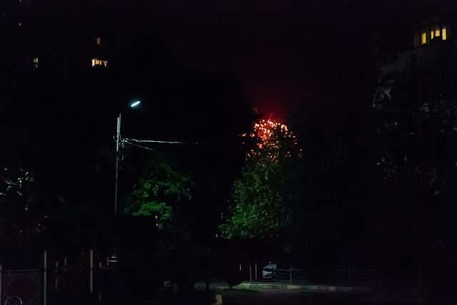 DSC 4828