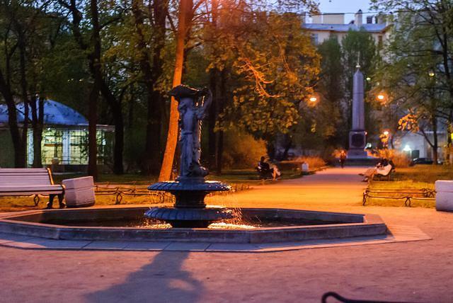 DSC 5009