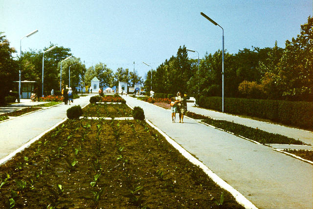 anapa.color-17