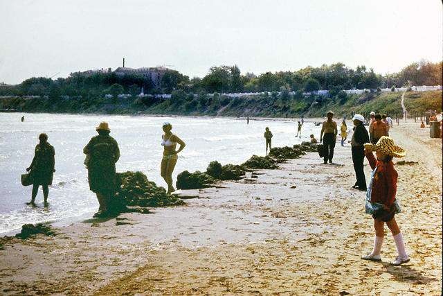 anapa.color-29