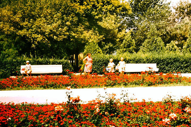 anapa.color-4