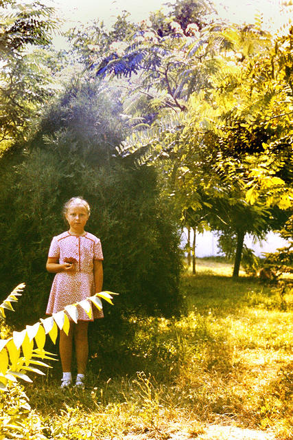 anapa.color-49