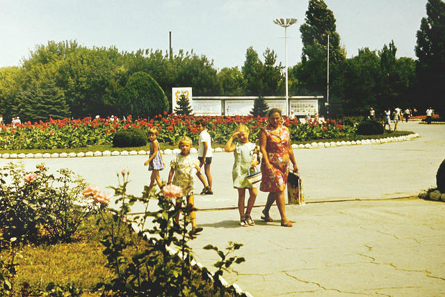 anapa.color-50