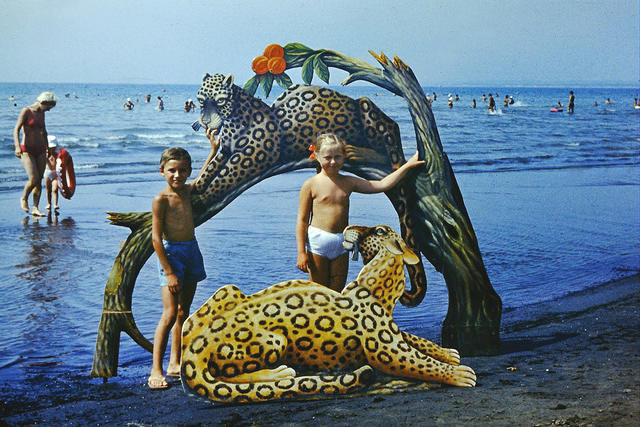anapa.color-53