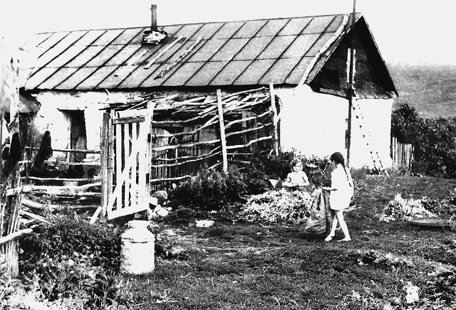 derevnya-35