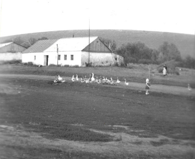 derevnya-5