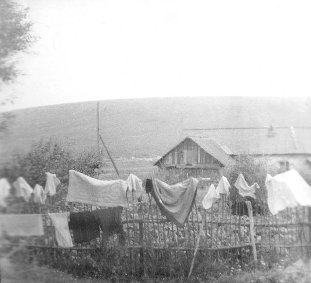 derevnya-53