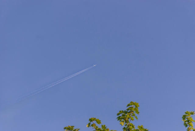 DSC 1878-1