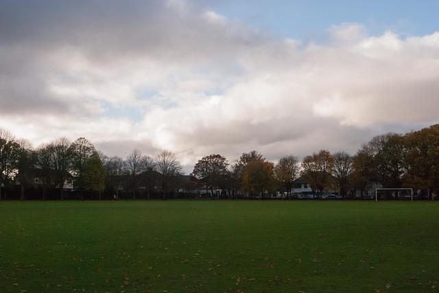 DSC 5528