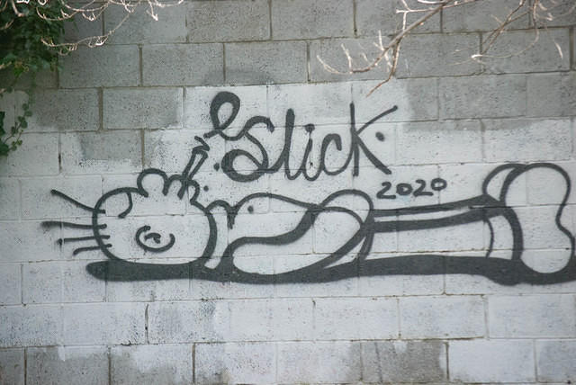 DSC 7368