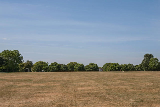 DSC 2075