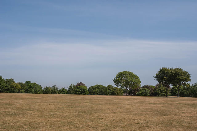 DSC 2077