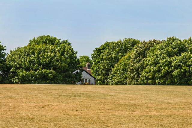 DSC 2081