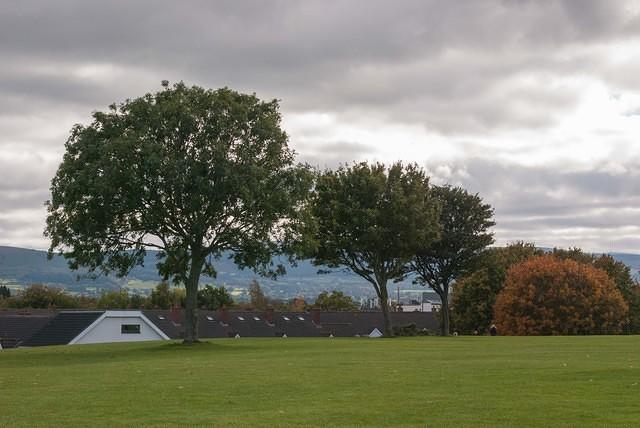 DSC 4706