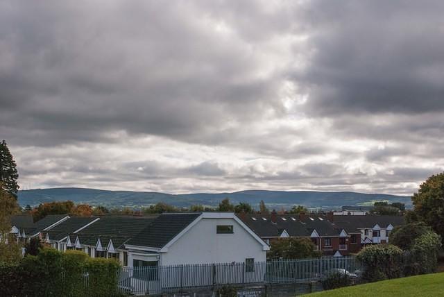 DSC 4729