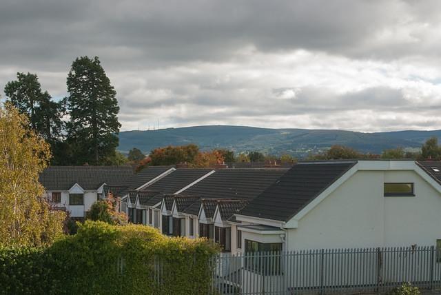 DSC 4730