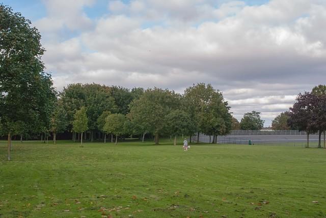 DSC 4771
