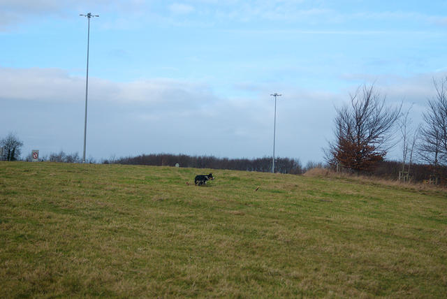 DSC 0642