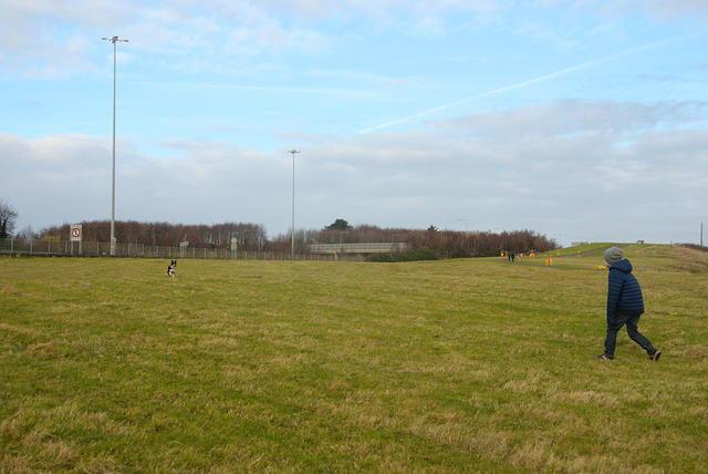 DSC 0644