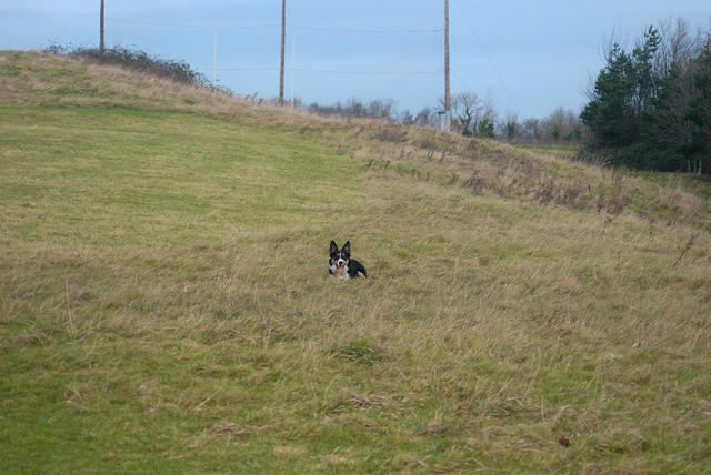 DSC 0651