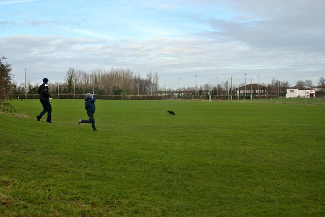 DSC 0660