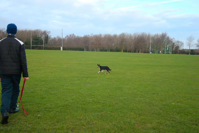 DSC 0665