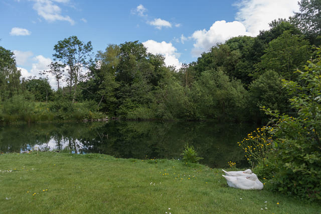 DSC 0660