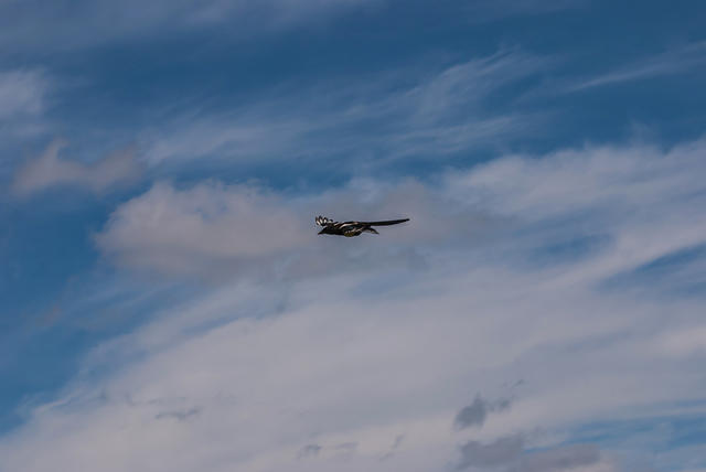 DSC 2390