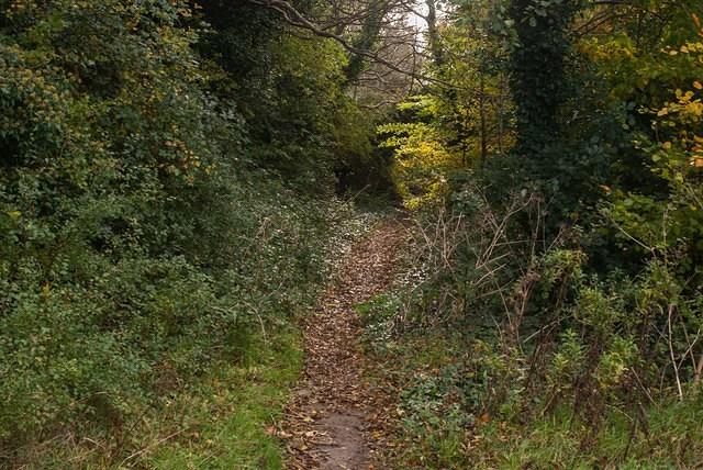 DSC 5347