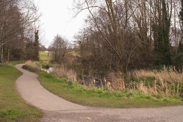 DSC 7723