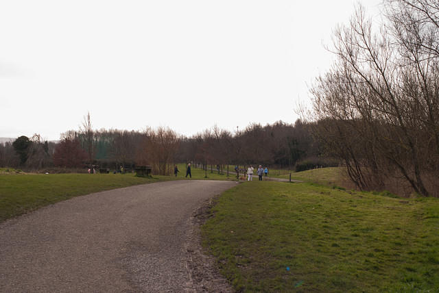 DSC 7727