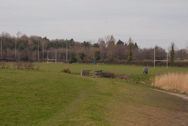 DSC 7735