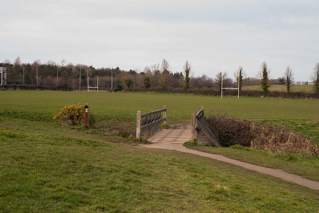 DSC 7745