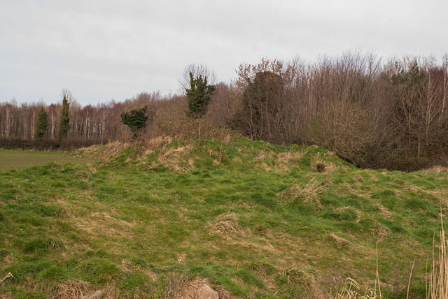 DSC 7747