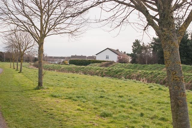 DSC 7808