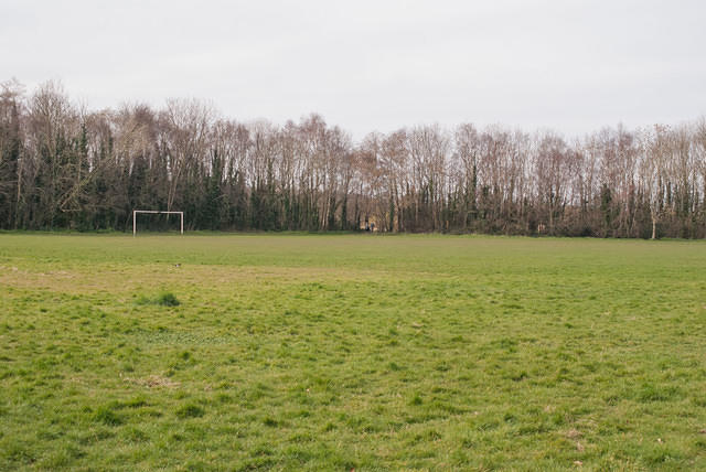 DSC 7832