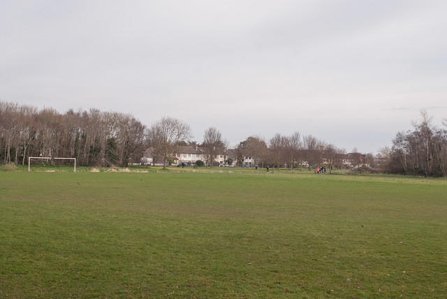 DSC 7835