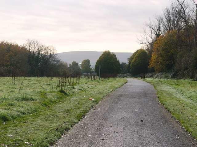 P1040305