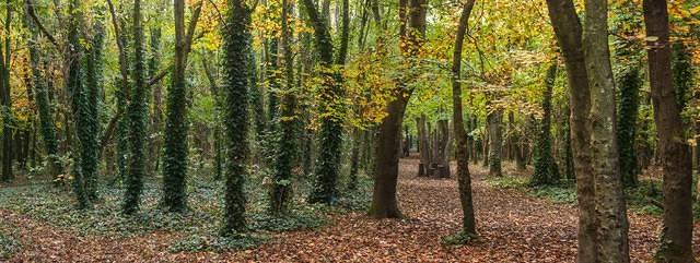 Untitled Panorama2