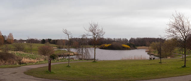 Untitled Panorama2