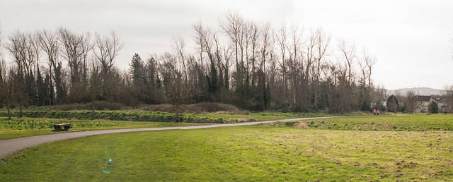 Untitled Panorama4