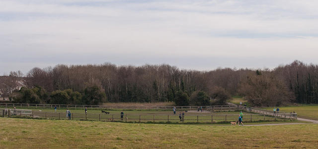 Untitled Panorama7