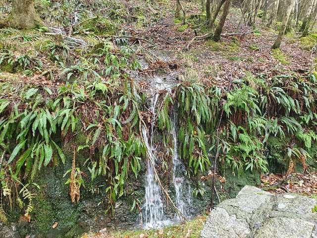 IMG-20211209-WA0006